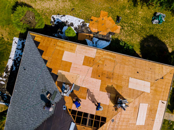 Quick and Trustworthy Emergency Roof Repair Services in Lexington, TN