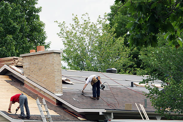 Roof Gutter Cleaning in Lexington, TN