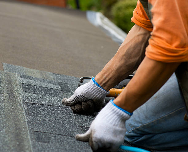 Best Metal Roofing Contractor  in Lexington, TN