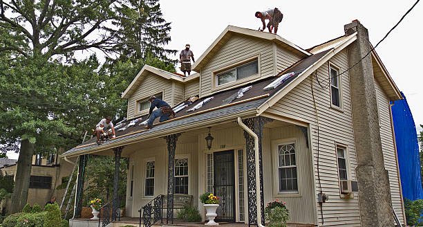 Best Flat Roof Repair Services  in Lexington, TN