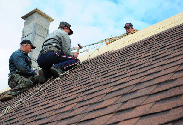 Best Affordable Roofing Company  in Lexington, TN